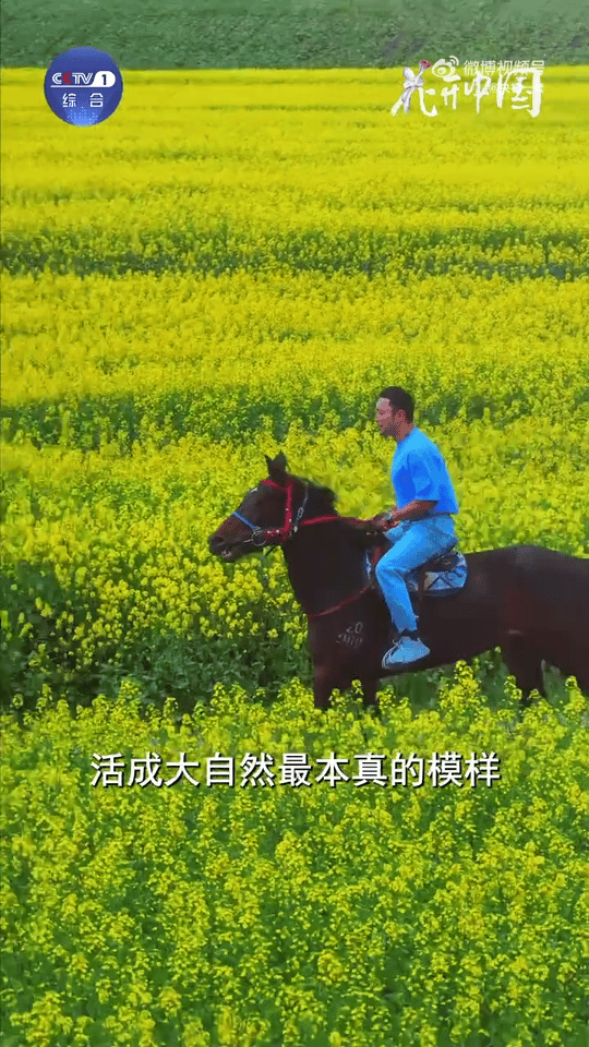 尼格买提骑马上班 哇塞！小尼回伊犁录《花开中国》直接骑马“上班”啦！策马奔腾在草