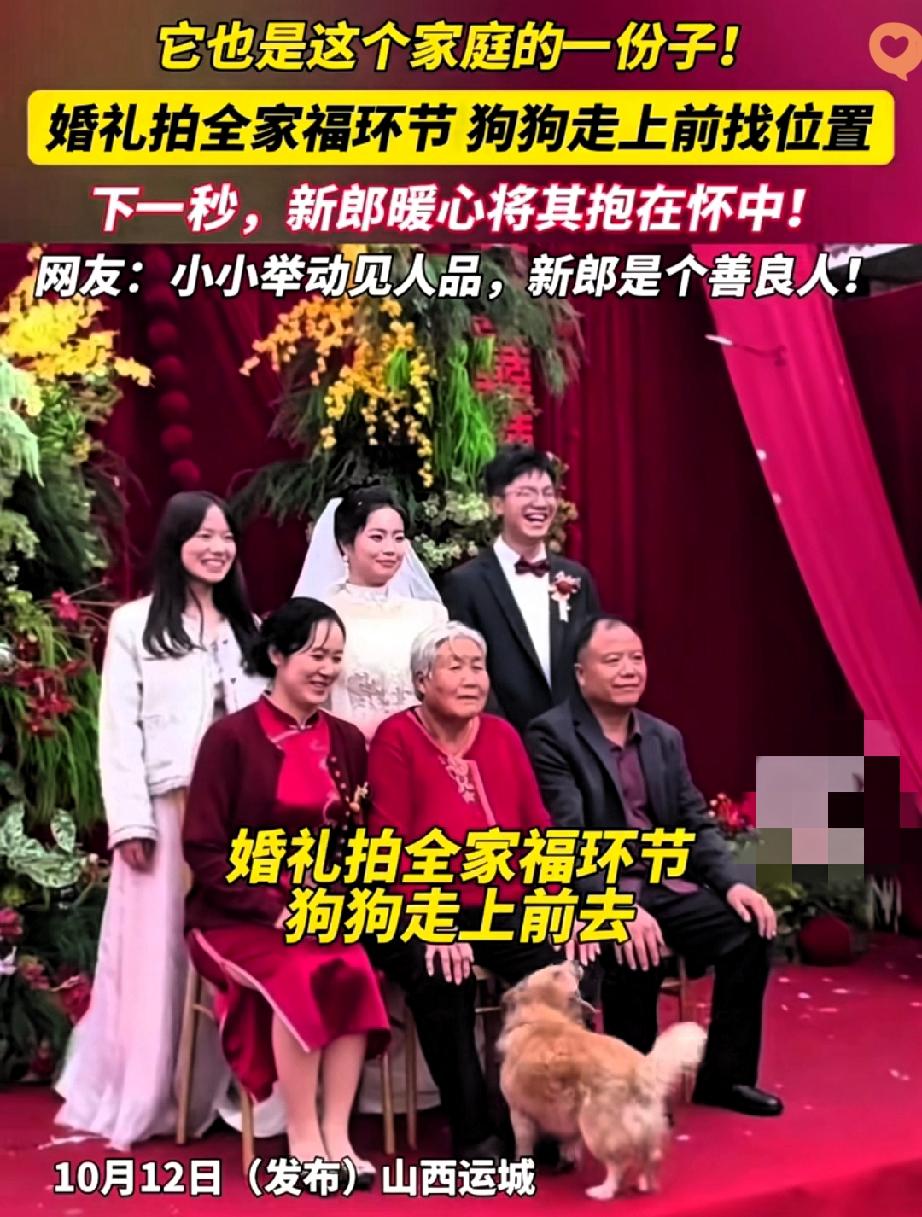 这才是婚礼上最暖的“抢镜”！

山西运城的一对新人在拍全家福时，他们养的小狗突然
