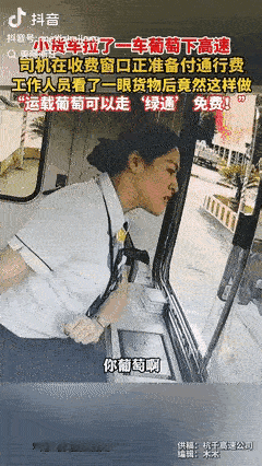 [太阳]“浙江高速又火了！”9月2日，浙江杭州，货车司机拉了一车葡萄进收费站，可