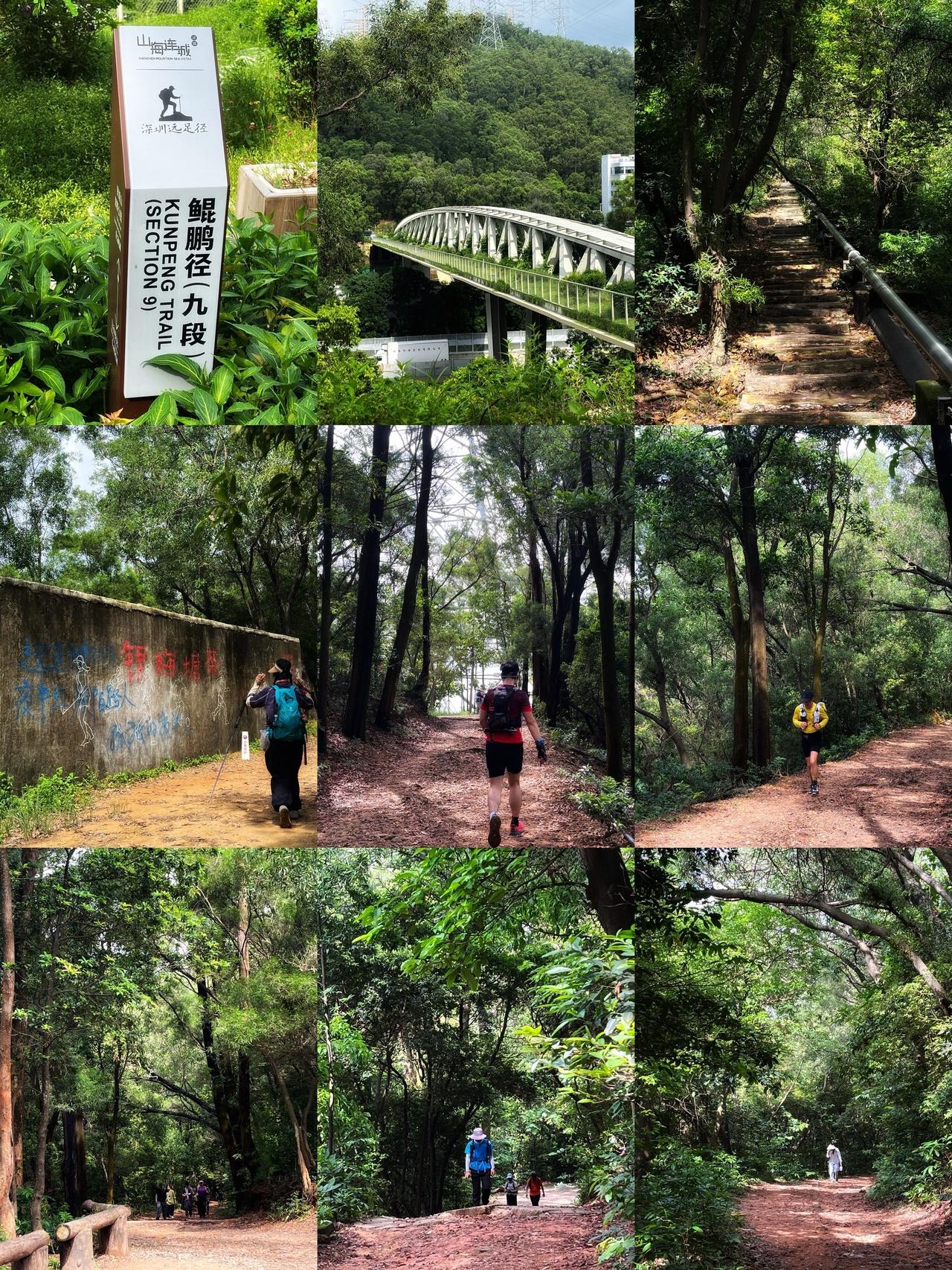 719徒步鲲鹏径九段
爱户外的小纪 鲲鹏径 鲲鹏径九段 银湖山郊野公园