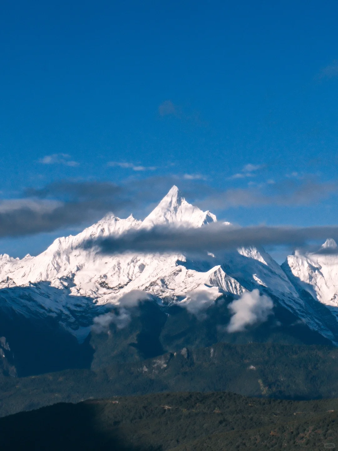 梅里雪山🏔️11月16至11月18日照金山最新数