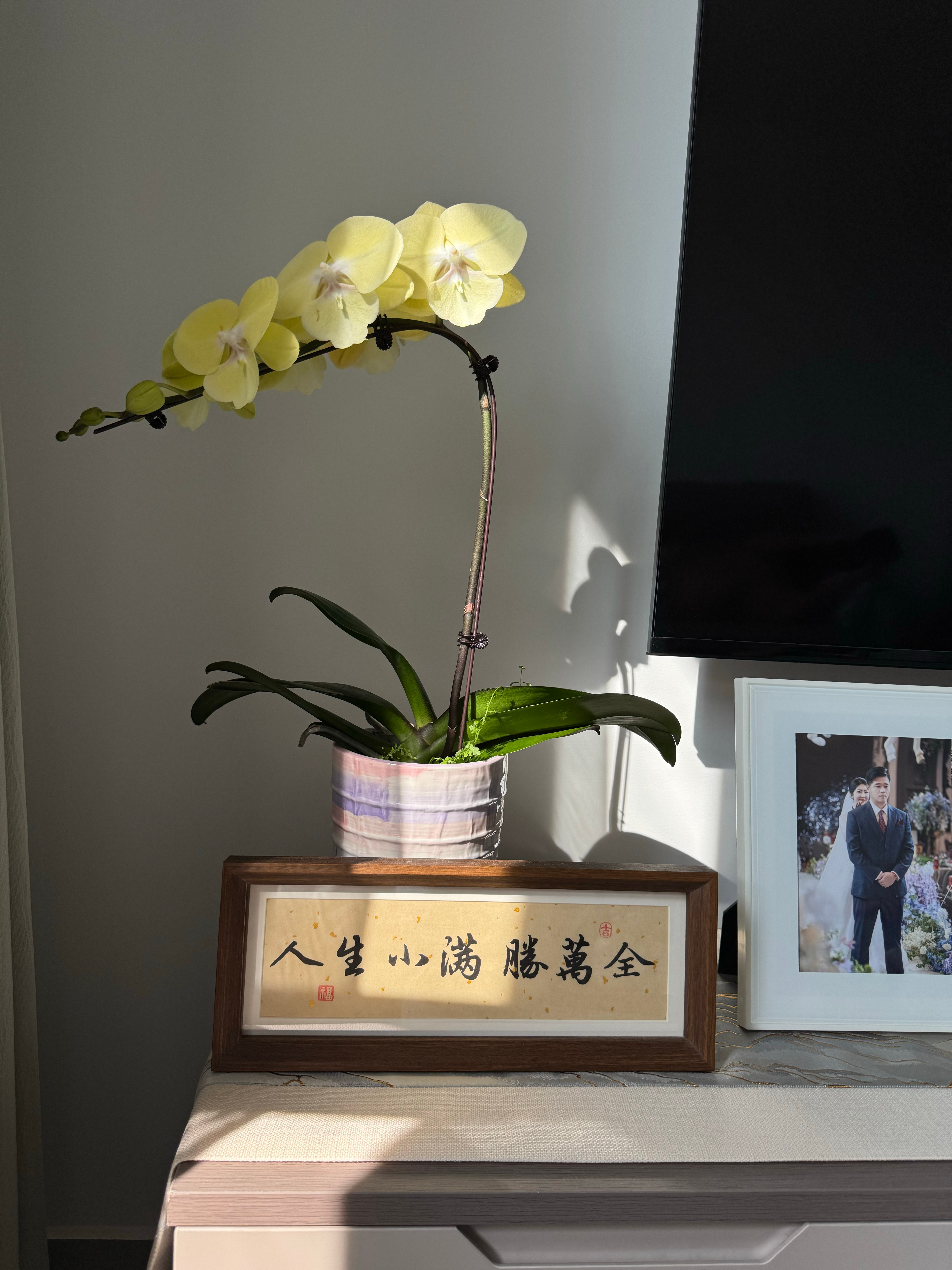 早