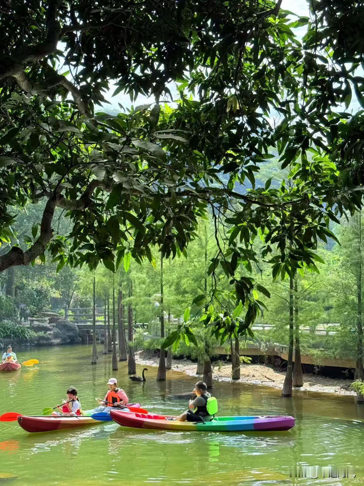 分享一张最近随手拍的照片