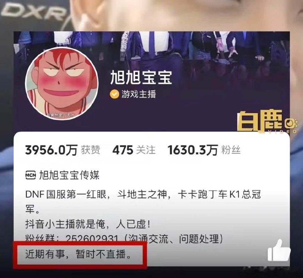 宝哥凉了啊！旭旭宝宝名下公司均已注销，斗鱼的好几个主播都停播了[吃瓜]#旭旭宝宝