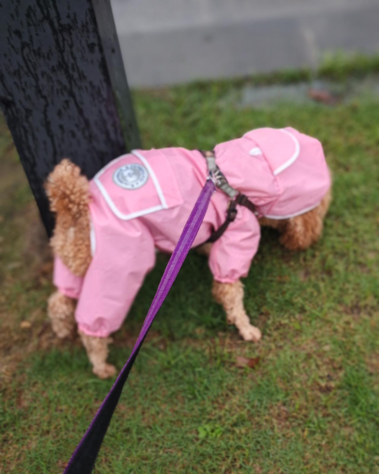 因为每天早上5点半起床，每晚必须上闹钟10点半到11点以前入睡，如果睡迟了，感觉