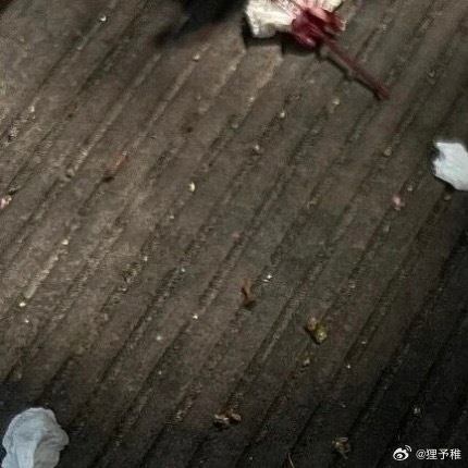 0000稳住节奏，慢慢发光人生最珍贵的力量，从来不是一蹴而就的惊艳，而是日复一日