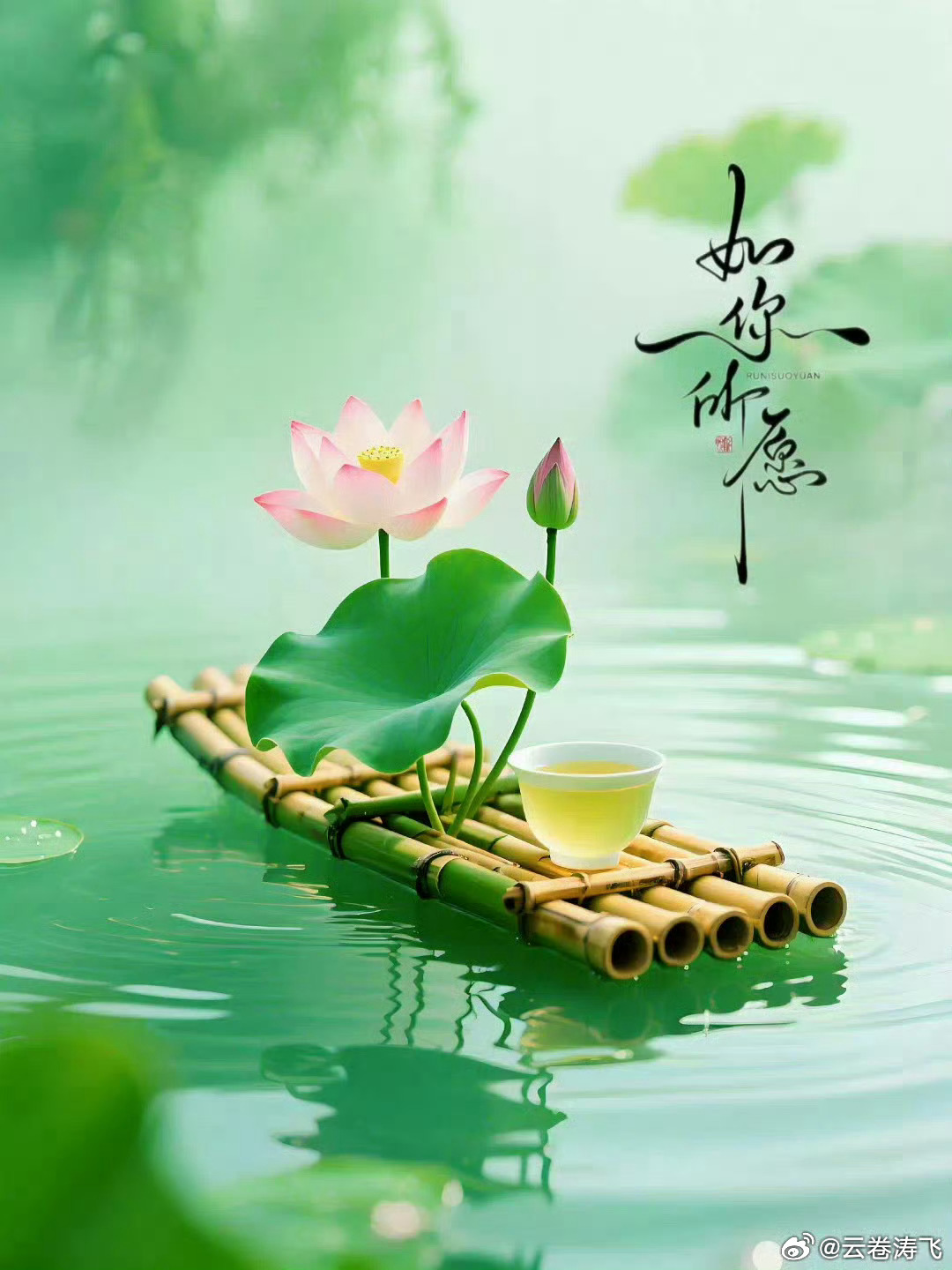 生活手记人生在世，一切都是机缘，离开有离开的道理，失去有失去的理由，所有的相遇、