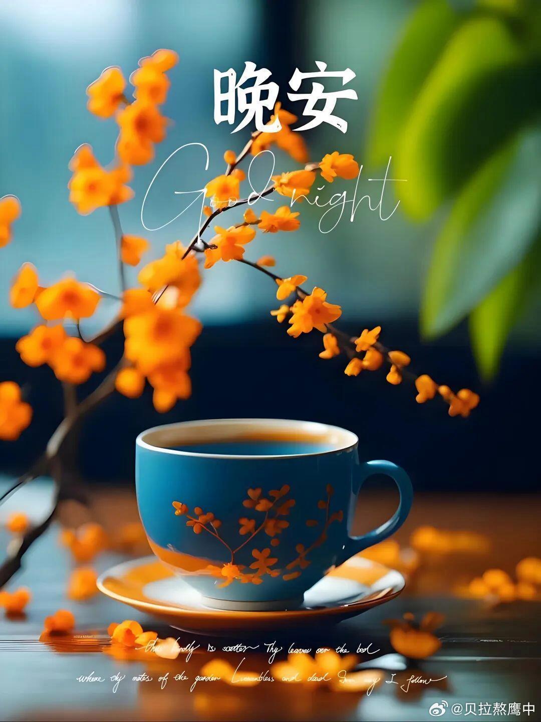 晚安 告别生活里的琐碎与疲惫。黑夜从不是孤独的底色，而是温柔的归途，是生活留给每