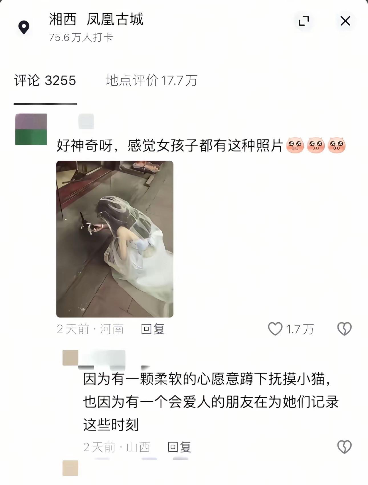 小猫小狗电台，祝你今天愉快ʕ •ᴥ•ʔ