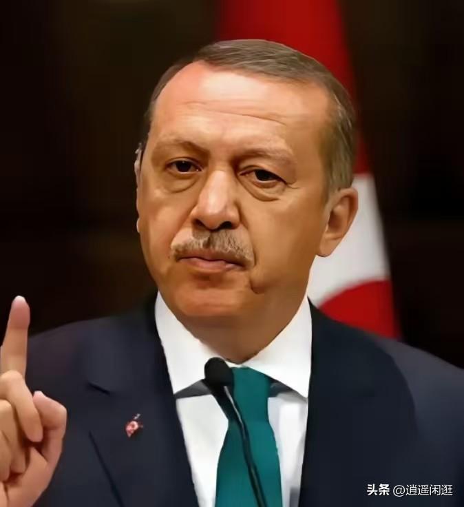 中国和土耳其谈话了
3月25日，土耳其终于等不了了，一通电话打到了中国，土耳其外