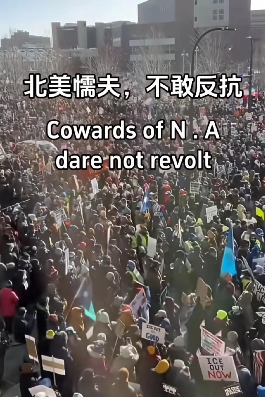 美国人到底有多怂？

美国人为什么会被称为“北美懦夫”？因为他们是真的怂！

正