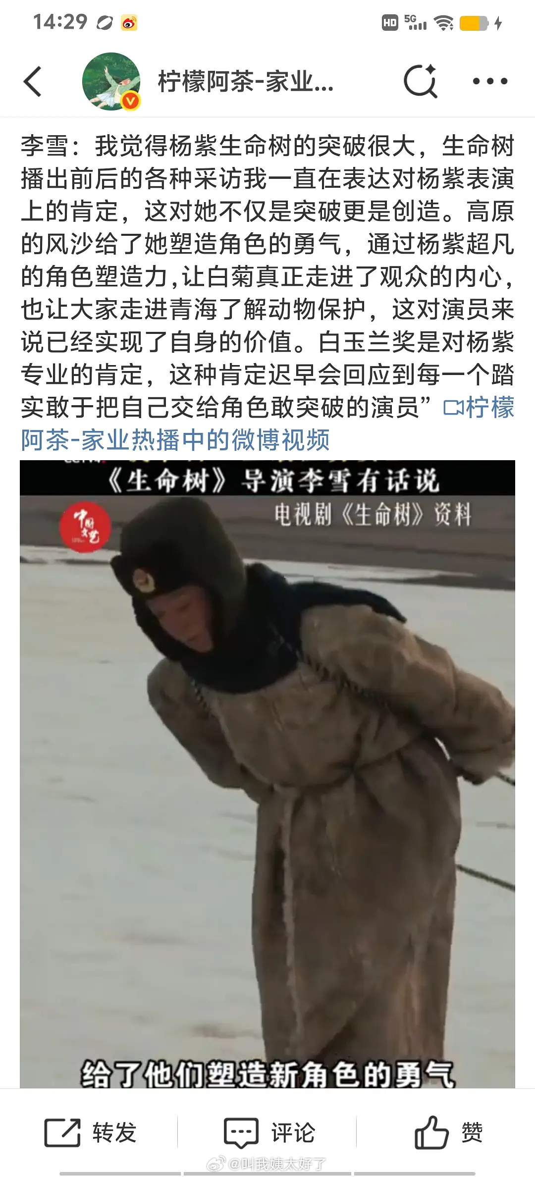生命树导演李雪，盛赞杨紫！演技好，突破大，影响力巨大！ 