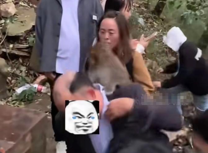 黔灵山“猴患”频发[微风]
10月1日，黔灵山景区接连发生两起涉及猕猴的意外事件