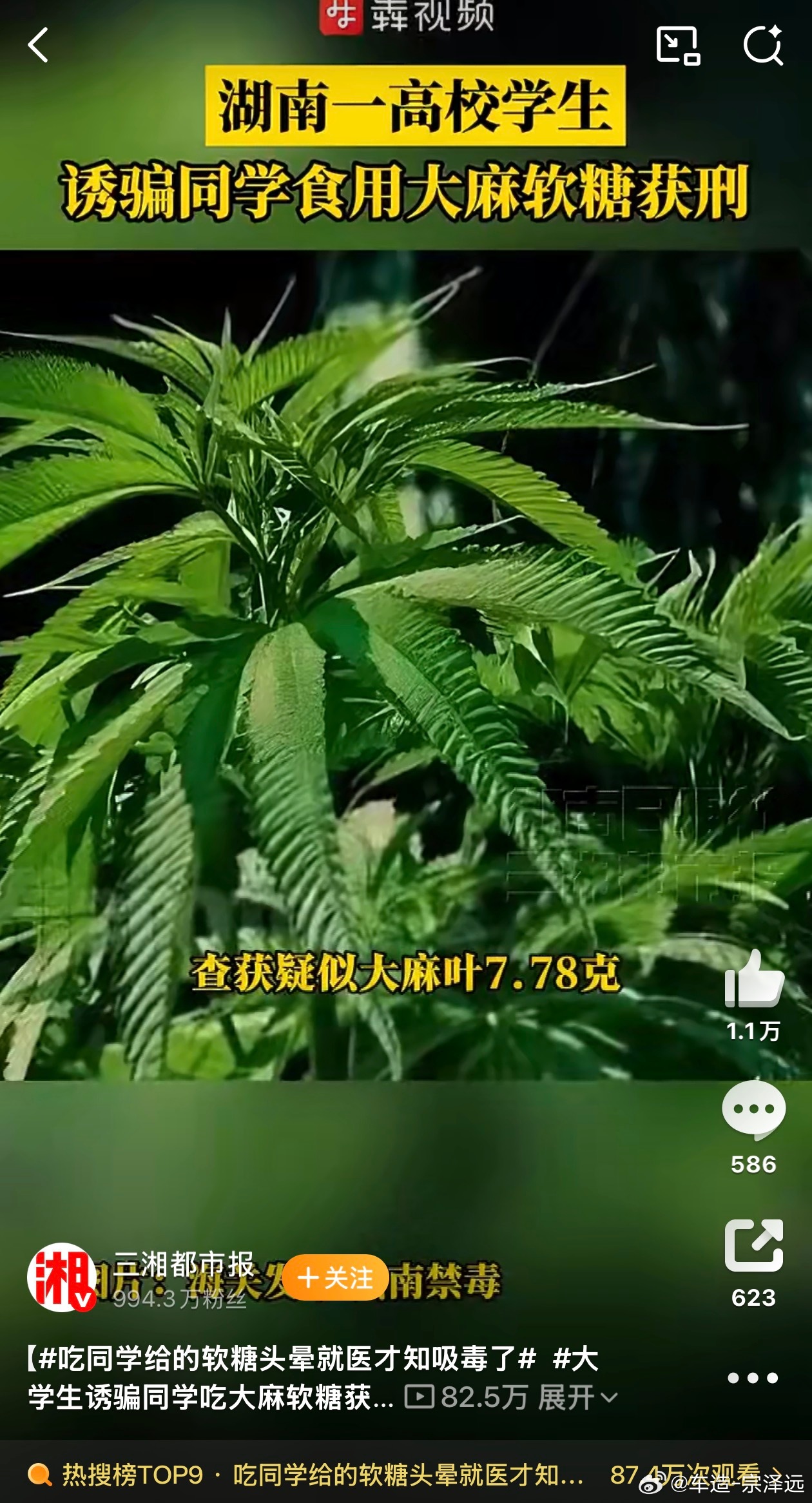 吃同学给的软糖头晕就医才知吸毒了6个月，打发谁呢？这不得判个终身监禁这不就是诱导