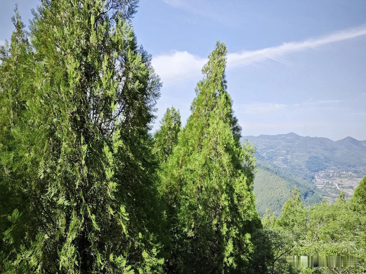 请说出一部电影，证明你不再年轻电影《决裂》，是一部反映农民与农业专家、根红苗正的
