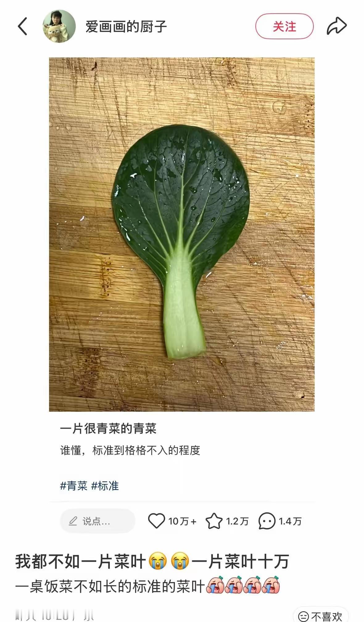 但是这一片青菜真的很青菜啊[狗头]
