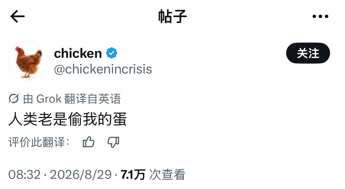 一只鸡的吐槽 ​​​