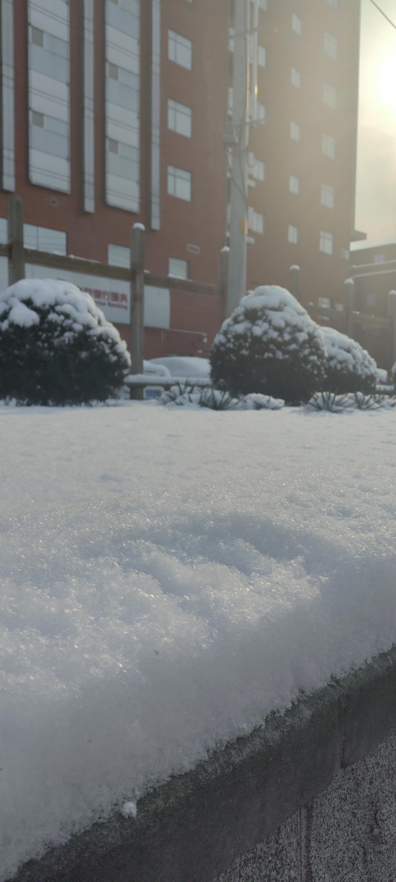 2026年北京的第一场雪，比以往时间来得更早一些...