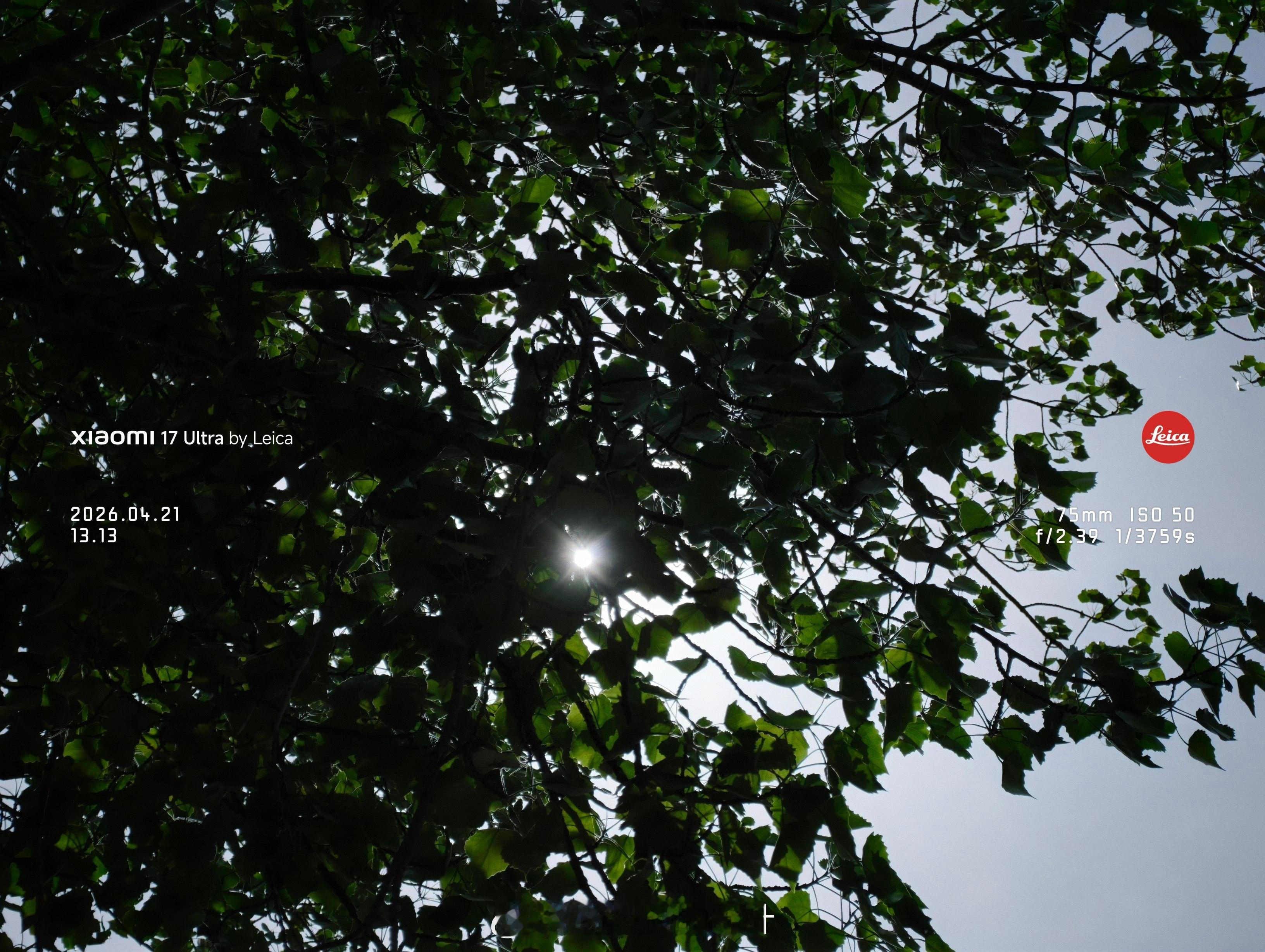 这天儿可太舒服了……