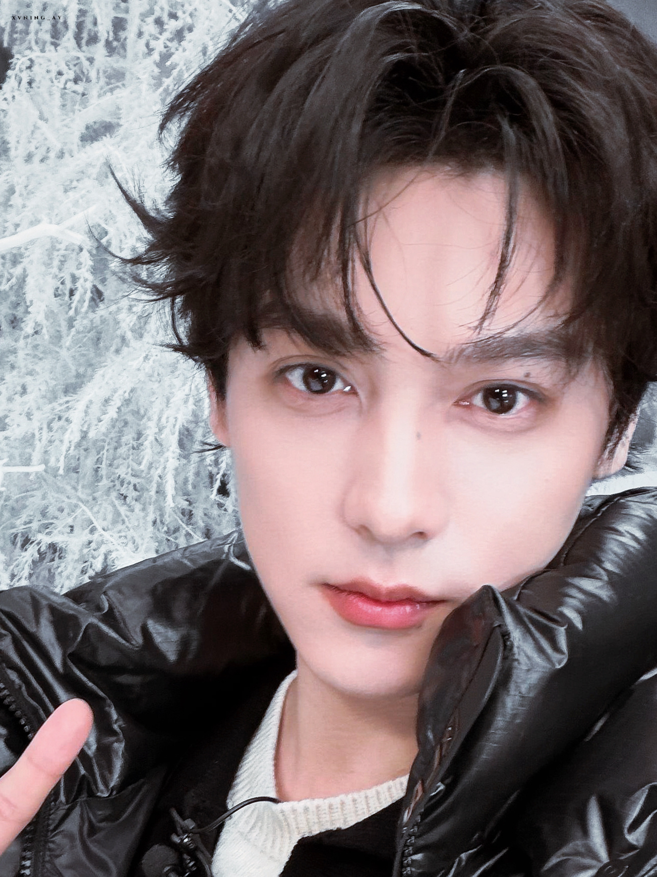 被确认为萌狗✌🏻 