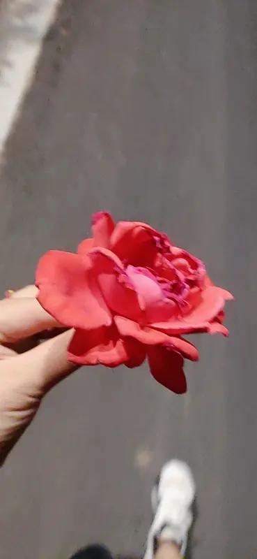 我投“靠谱”这两个字一票。
之前和同事对接项目，说好周三前交3份带数据支撑的方案