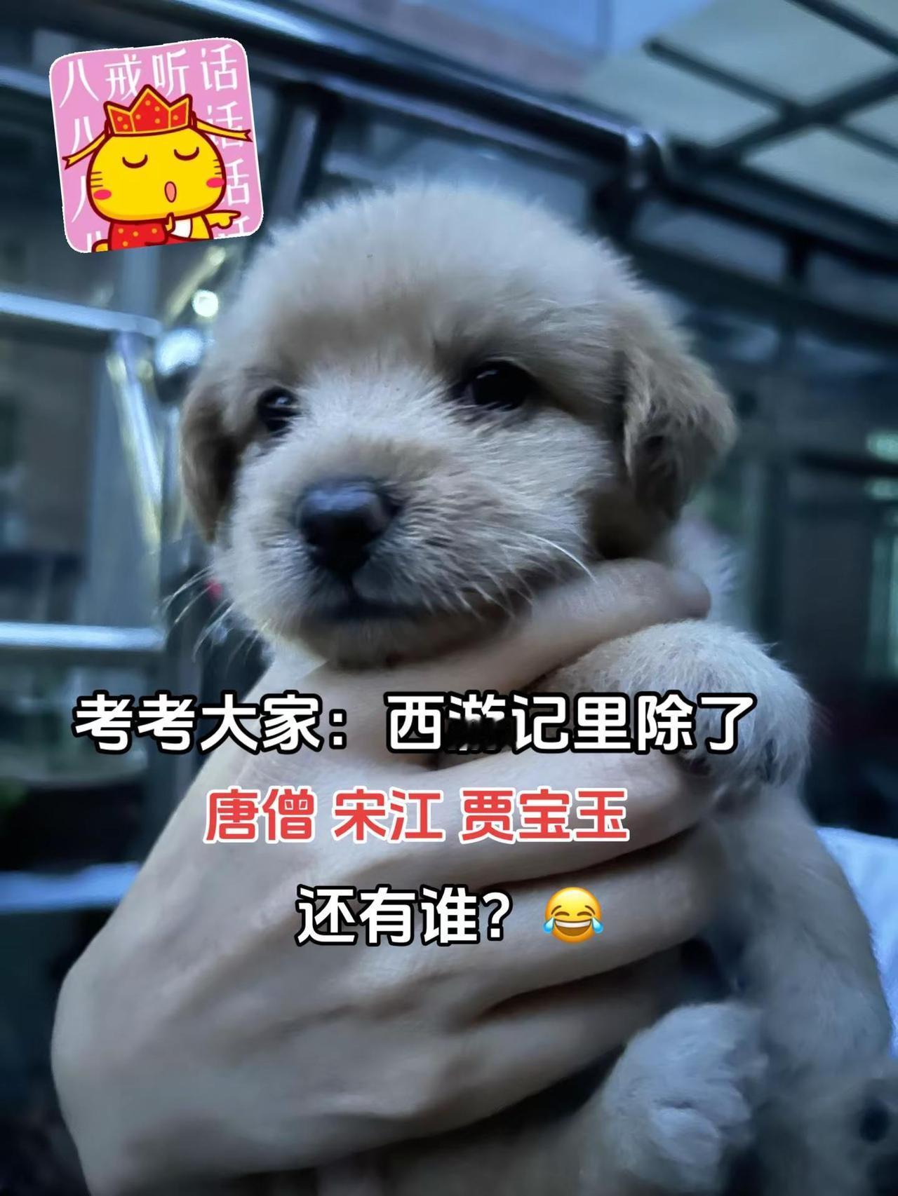 最近学名著，人物太多都记混了，考考大家西游记还有哪些人物？