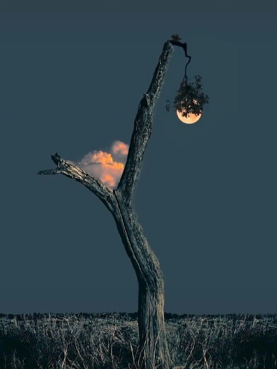 我们知道，语言和月亮一样，有它阴暗的一面。——博尔赫斯 