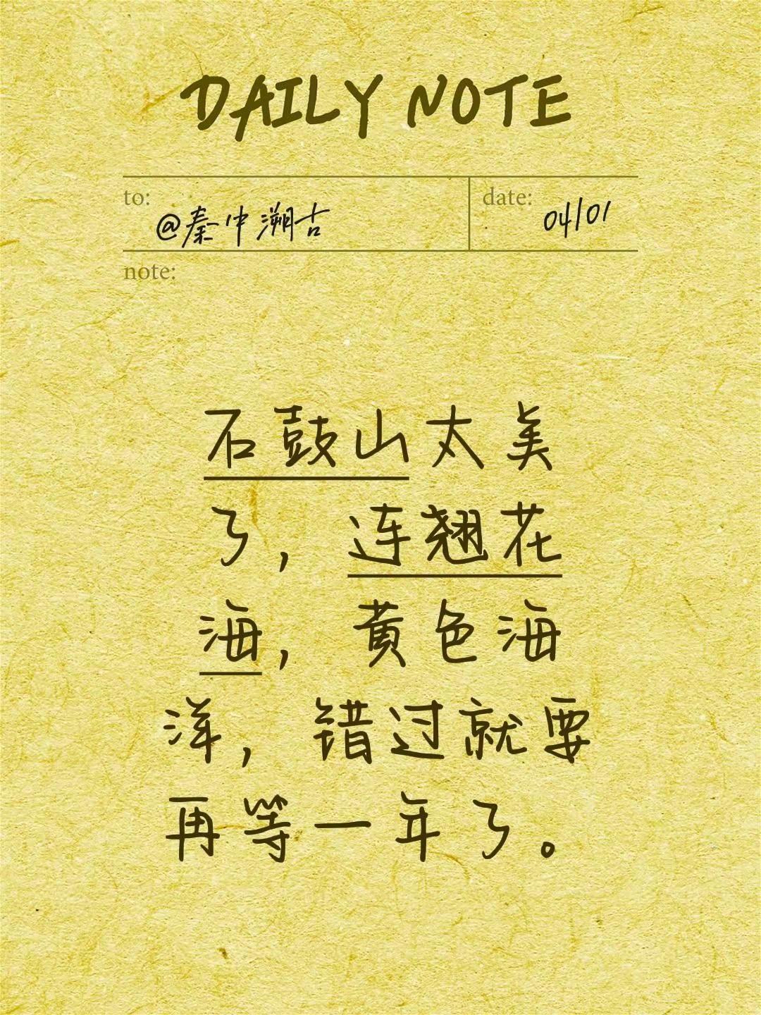 我评论了@🍍菠萝王子🤴🏻 的作品：石鼓山太美了，连翘花海，黄色海洋，错过就