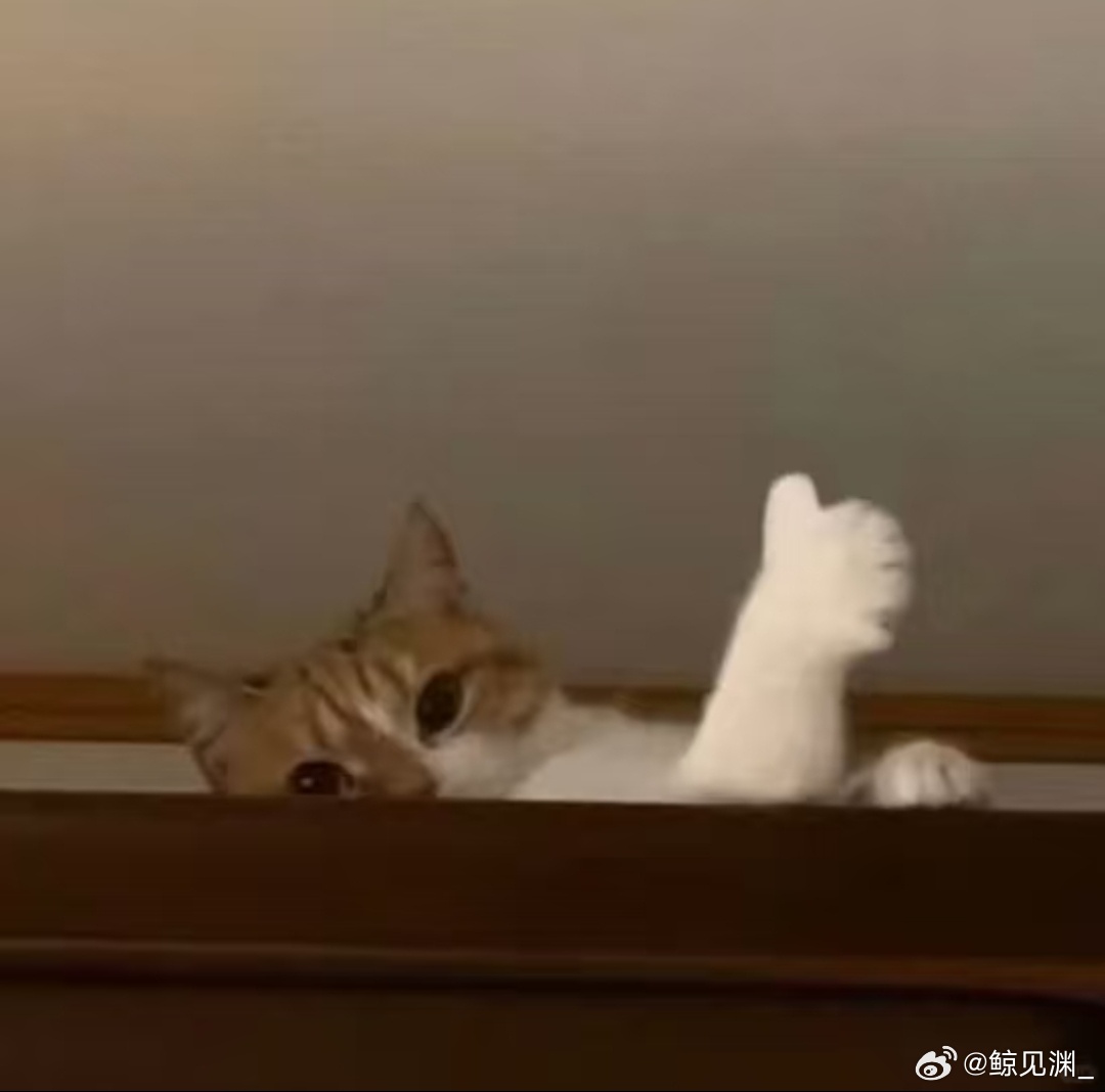 龙舟居然是放河里保存的 无意间刷到龙舟养护科普大开眼界，干湿交替会加速木头腐朽，