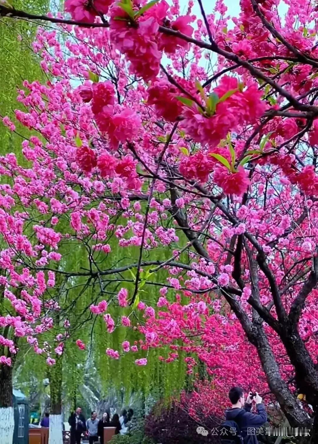上联:闲听叶语寻诗句
下联:静观晨露醉花香
横批:物与心游