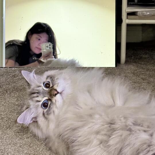 我家小猫咪真可爱 我也是个人