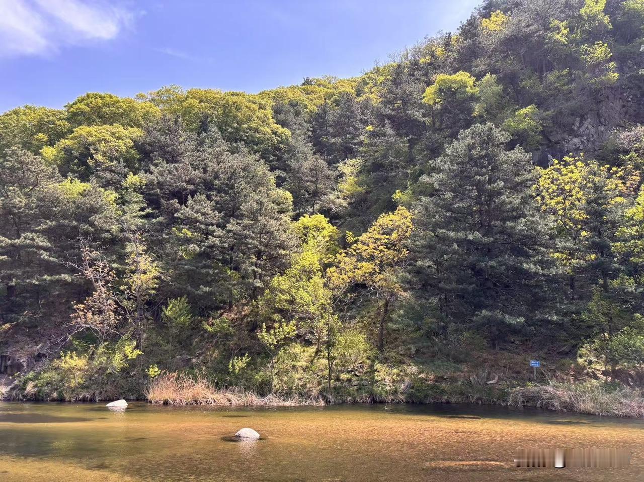 昨天我在网上发帖说感觉济南东边（小汉峪）的水果蔬菜价格比老城区高，没想到很多网友