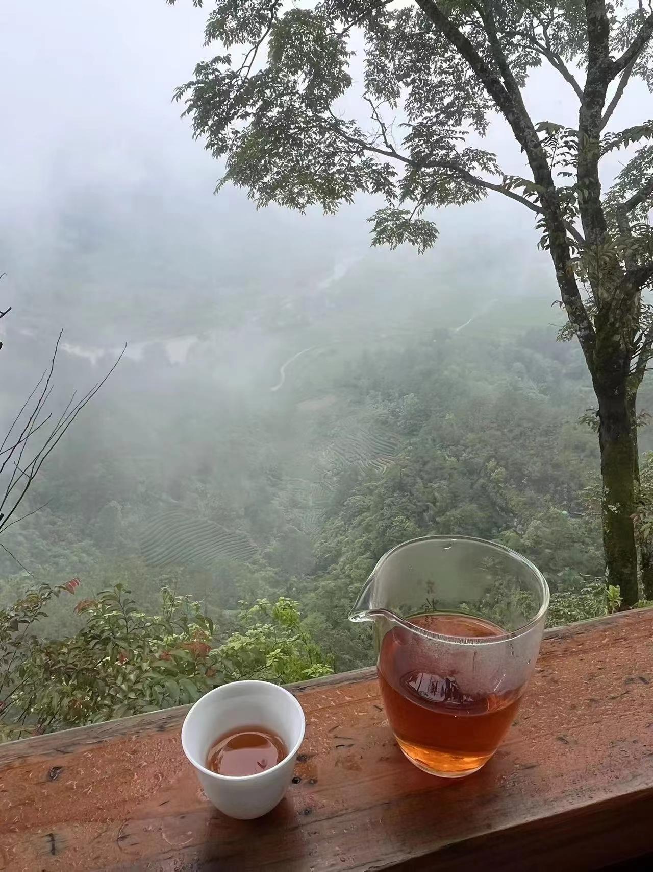 树欲静而风不止！
人性其实很邪恶，当你越躲，越藏，越低调，越不想招惹是非，反而越