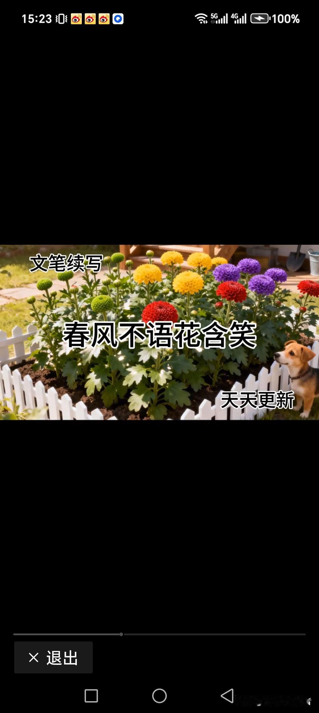 春风不语花含笑
秋雨不言果包甜