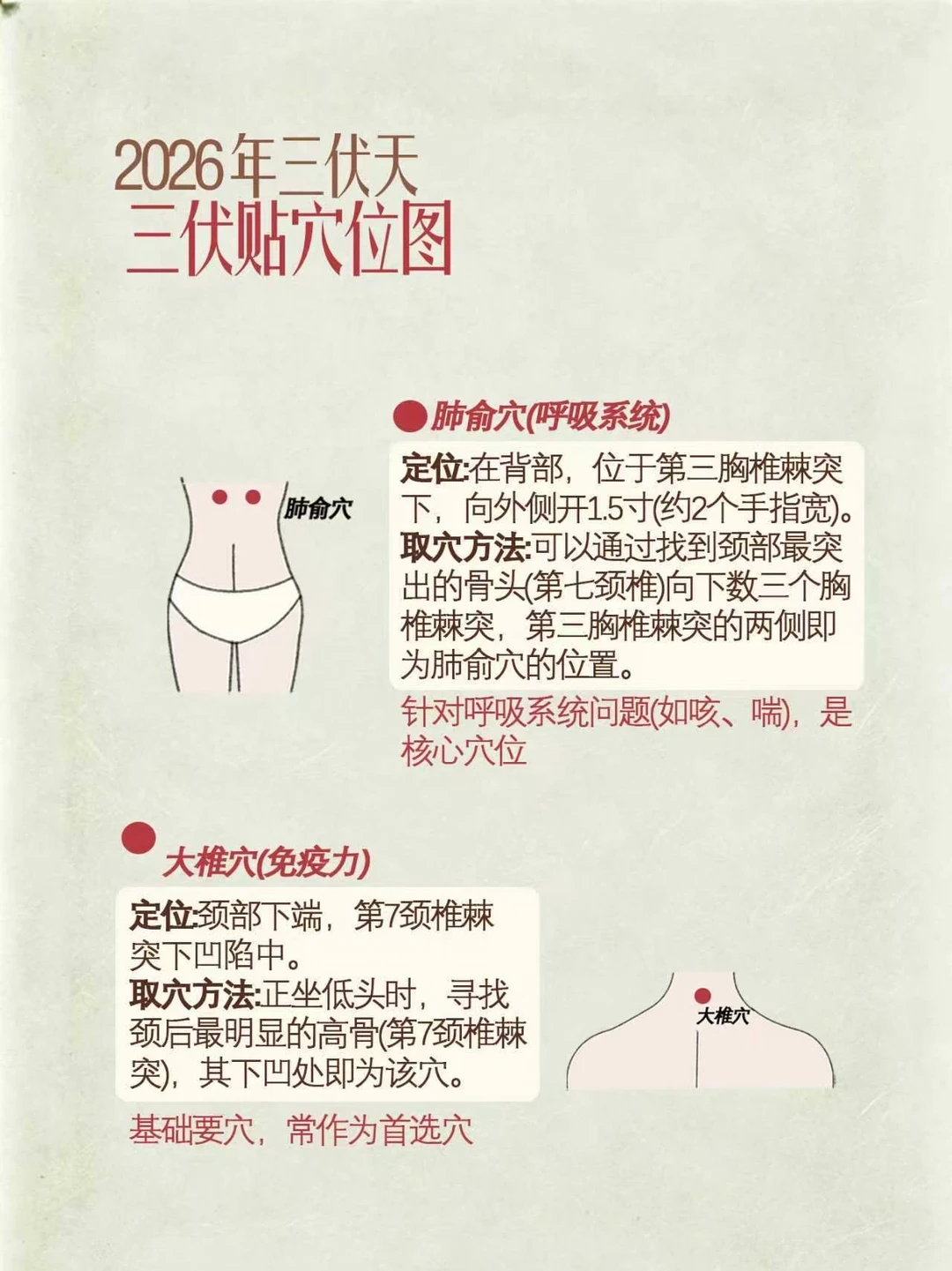 三伏贴不想太麻烦，这4个核心穴位别错过。