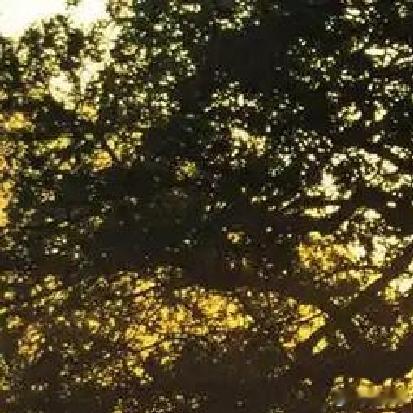 《六姊妹》中的张秋芳，活得很清醒。她结婚之后，依然不放弃自我的提升，抓住机会，自