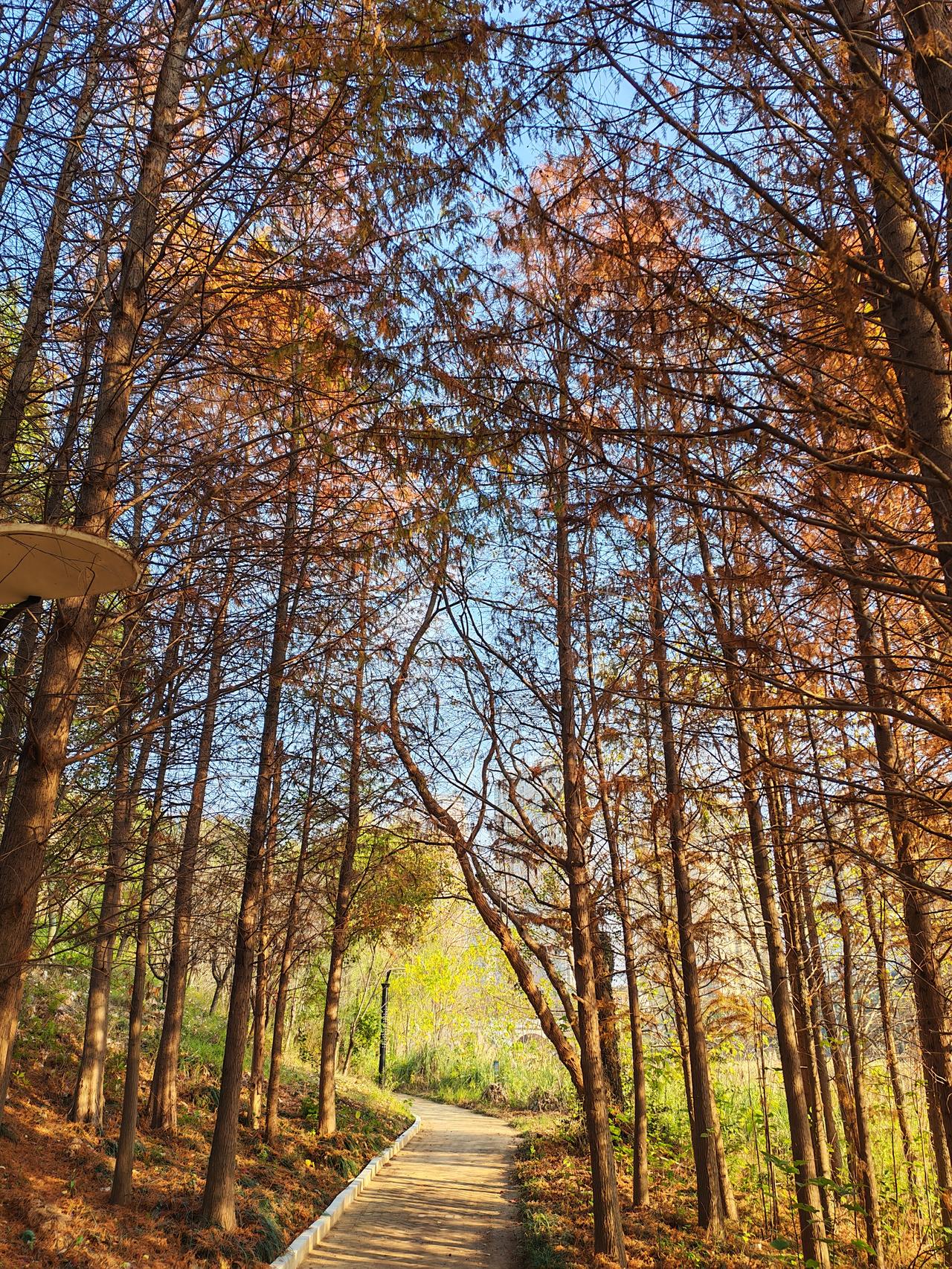 今日分享随手拍照片