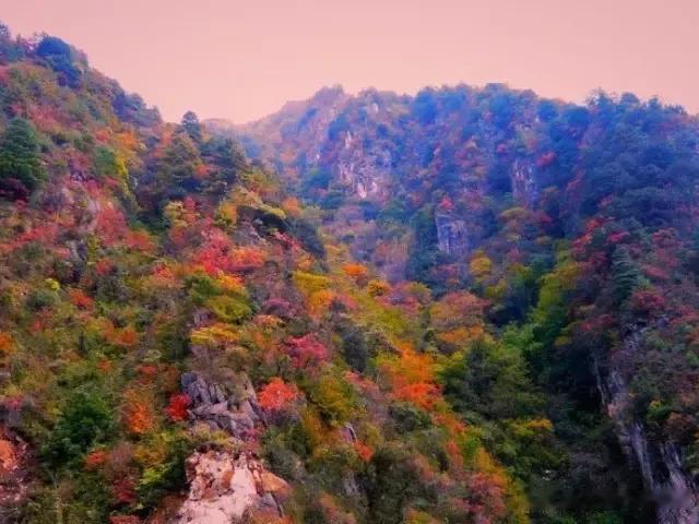 秋漫秦岭
秋色漫卷入商州，
青山列阵霜染头。
云海翻涛吞远壑，
松风鼓瑟掩高楼。