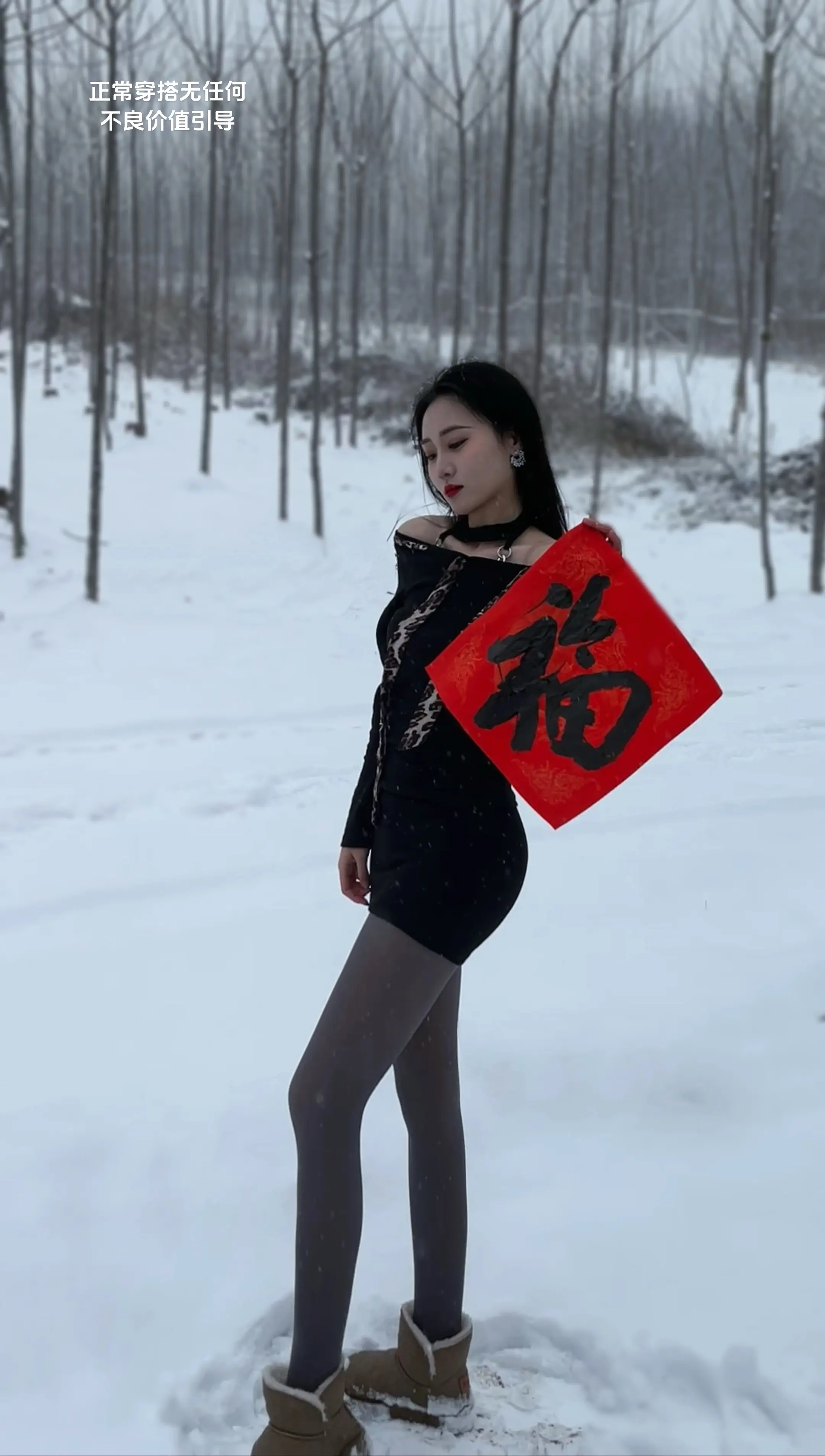 照一轮明月 映我情愁如白雪.