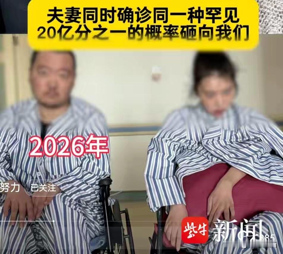 喜欢养宠物的应该注意了，看到这对新婚夫妻同患罕见病瘫痪，怀疑是养过仓鼠致病的新闻