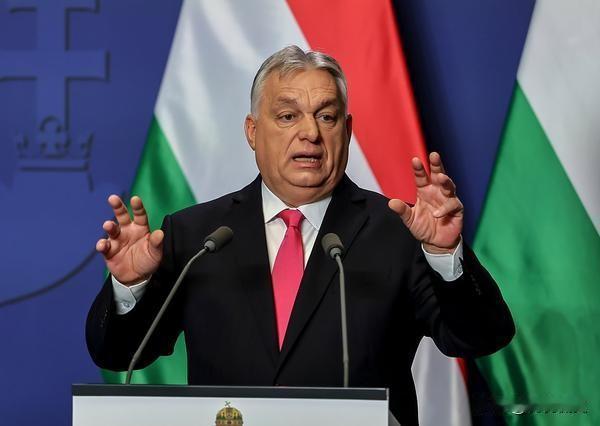 快报！匈牙利宣布了
 
1月5日，匈牙利总理欧尔班表示，在当前国际政治格局深刻变