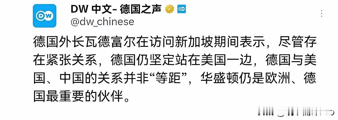 近日，德国外长瓦德富尔在新加坡的访问期间，对中德关系大放厥词称：“尽管存在紧张关
