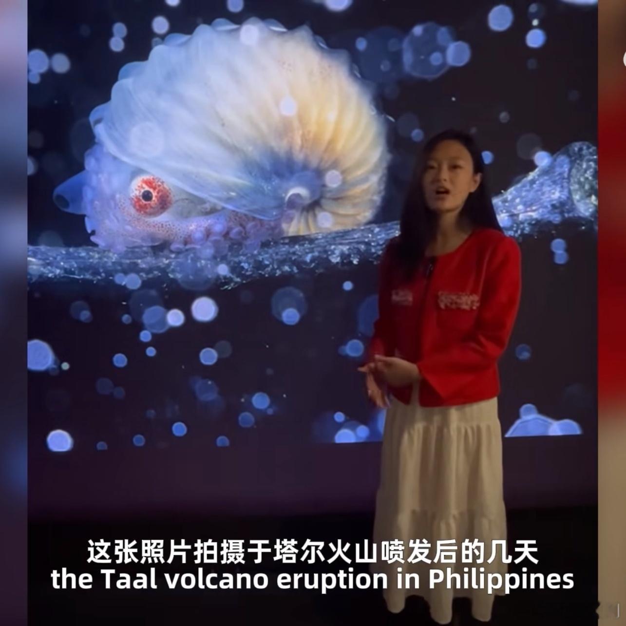你见过南极冰海里，像透明精灵一样翩翩起舞的“海天使”吗？一个95后重庆姑娘，因为