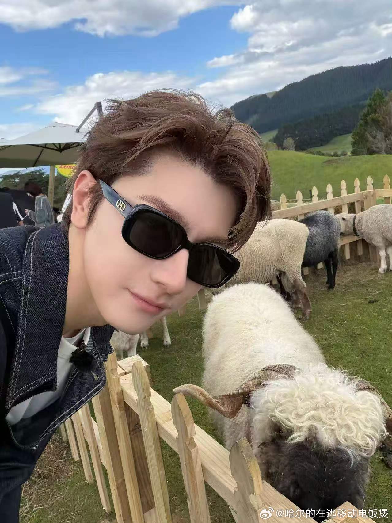 王玉雯问林一谁是刘宇宁前任 王玉雯的提问是即兴的，林一的惊吓是真实的。前任这个身