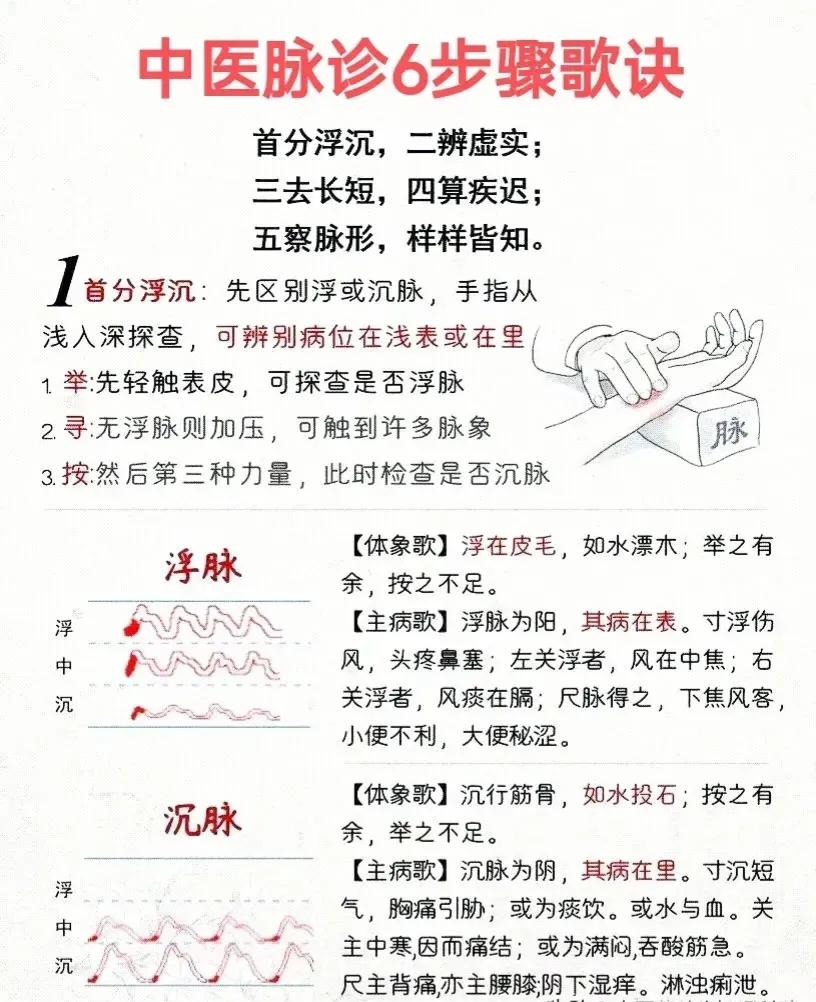 中医脉诊是中医诊断的重要手段之一，学会把脉，你就能掌握自己的健康状况！今天我来教