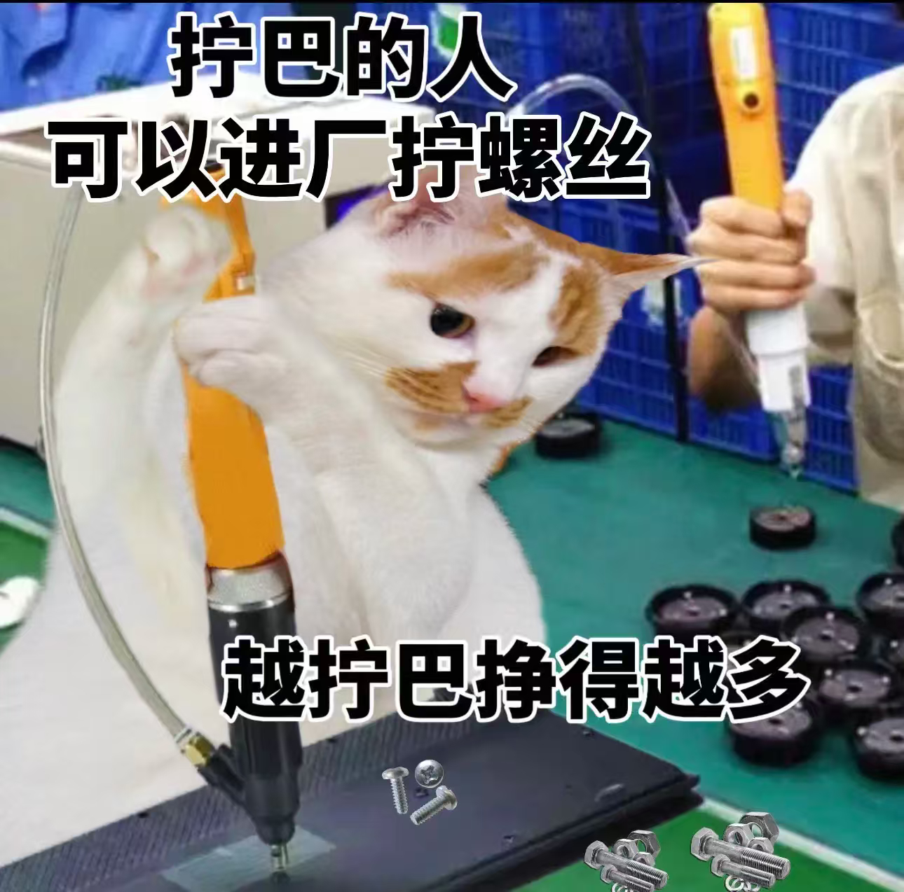 拧巴的人可以进厂拧螺丝，越拧巴挣得越多 ​​​