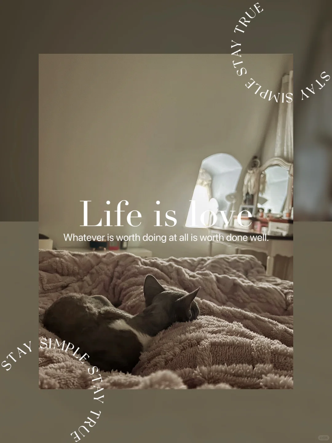 30+单身独居|有猫咪的生活尊嘟泰泰泰幸福