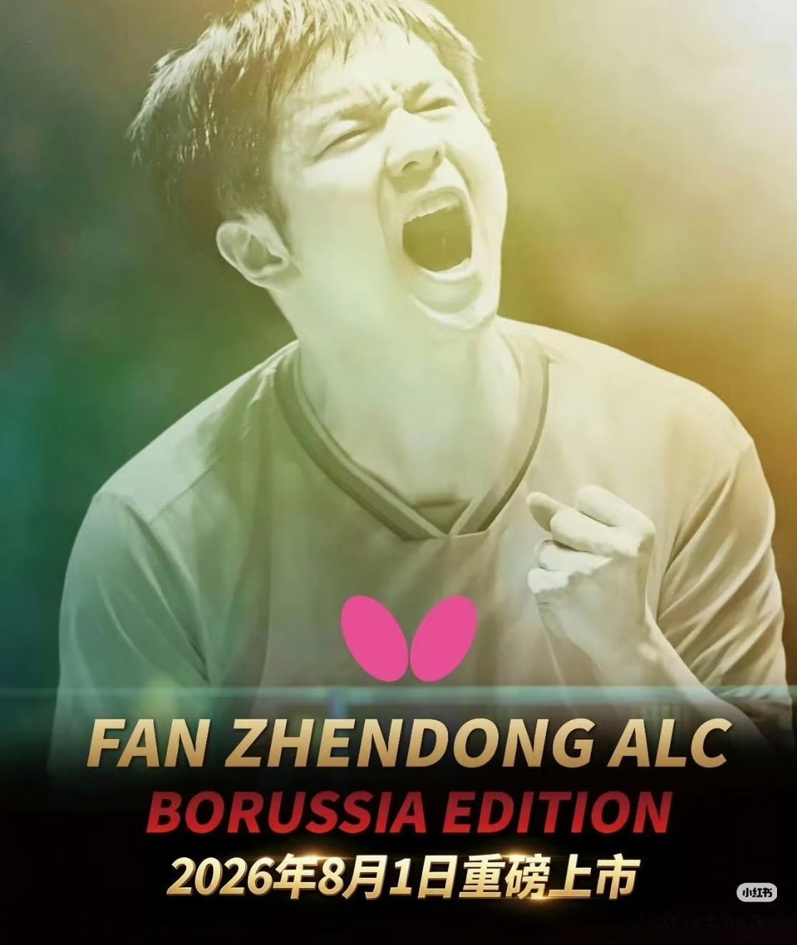 FAN ZHENDONG ALC BORUSSIA EDITION
樊振东ALC