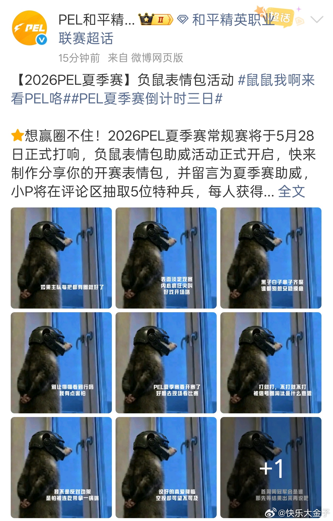 鼠鼠我啊来看PEL咯PEL夏季赛倒计时三日 PEL整活，更新鼠鼠来看PEL和平精