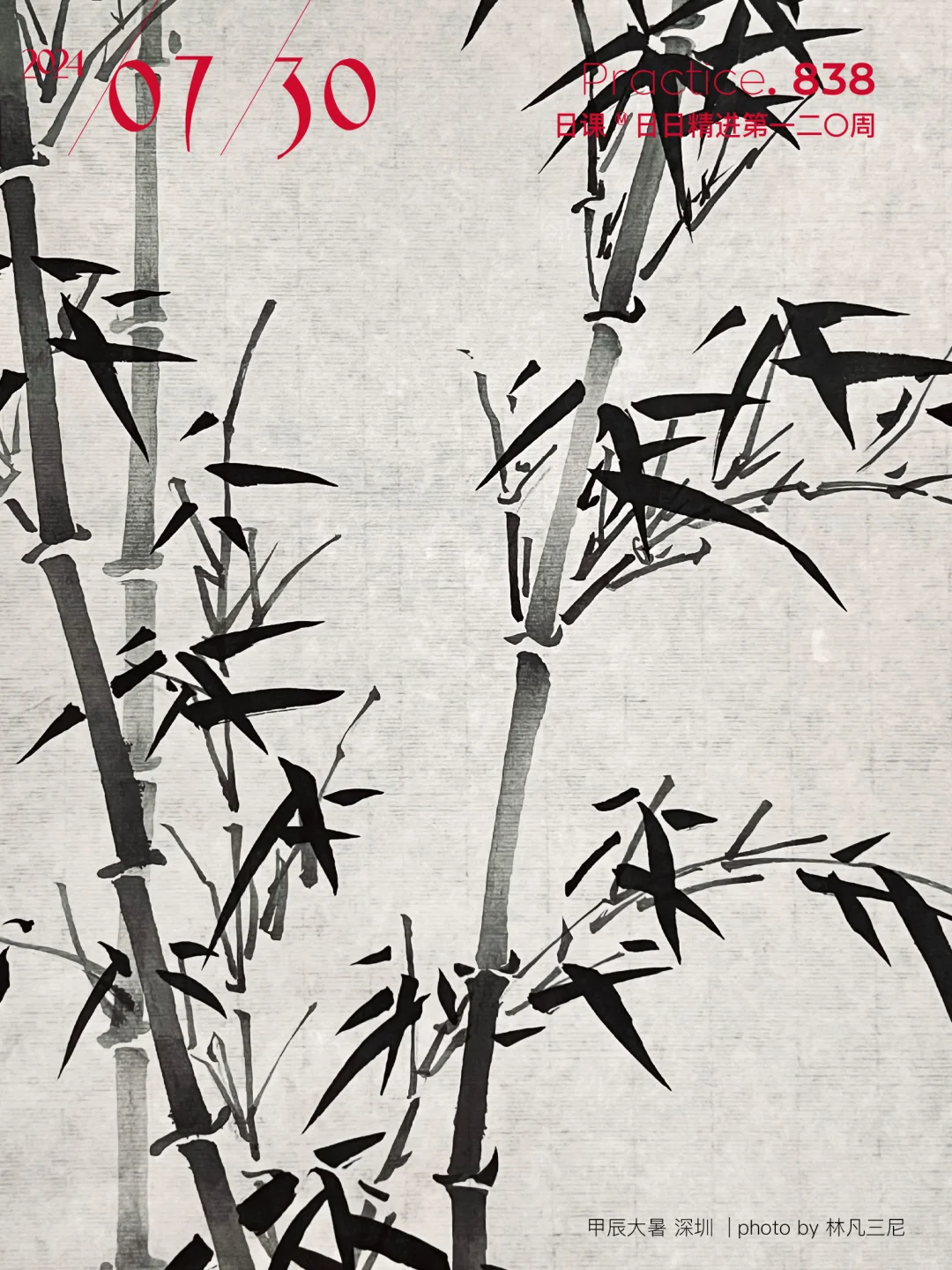 线的初识❷初次画竹，竟不知楼下便有八十丛
